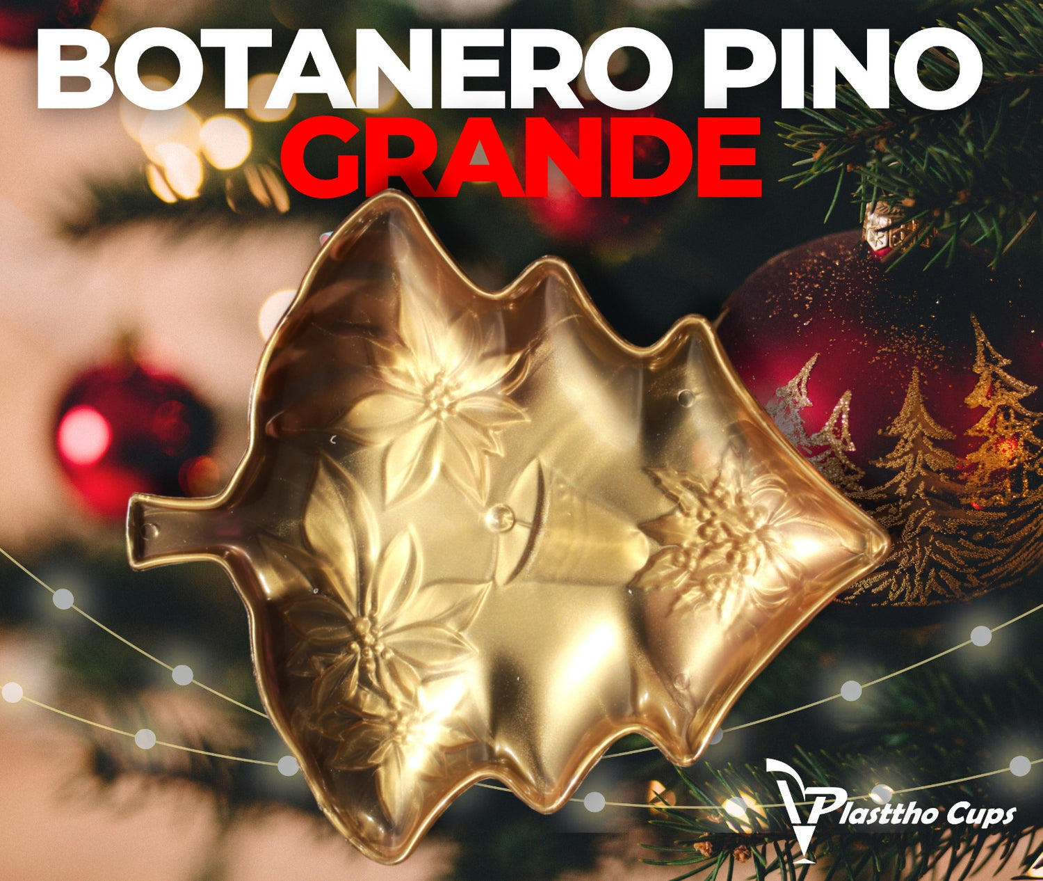 Botanero Pino Grande