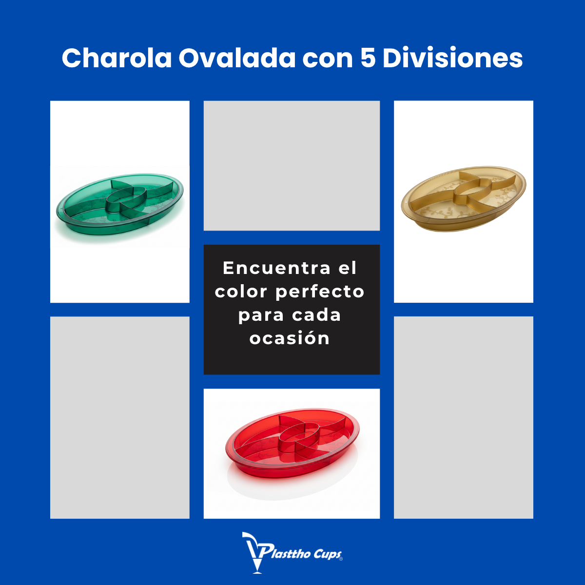 Charola Ovalada con 5 Divisiones