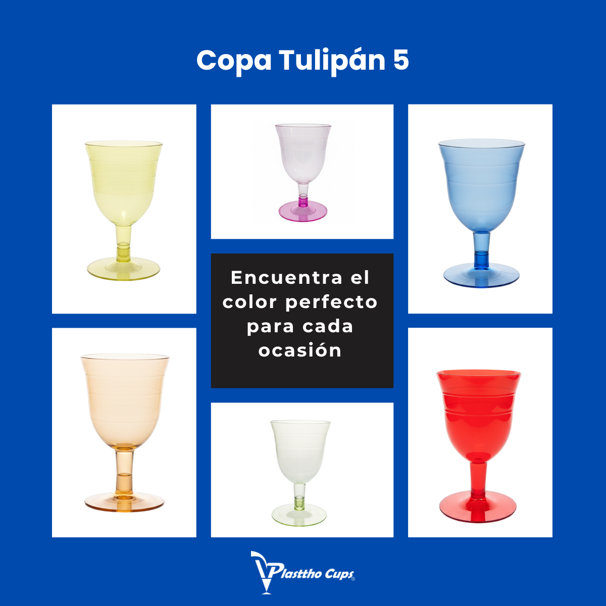 Copa Tulipán 5